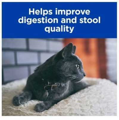 מזון רפואי לחתולים עם בעיות עיכול הילס 156 גרם