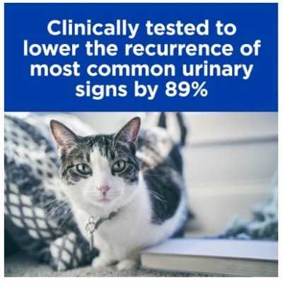 שימורי מזון רפואי לחתולים עם בעיות בדרכי השתן והכליות הילס 156 גרם