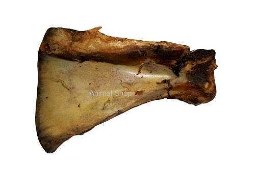 חטיף לכלב יאמיס עצם כתף בקר בציפוי קרמל מעושן 30-35 ס"מ